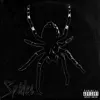 Rob Endraus - Spider - Single